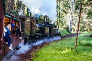 Puffing Billy Melbourne