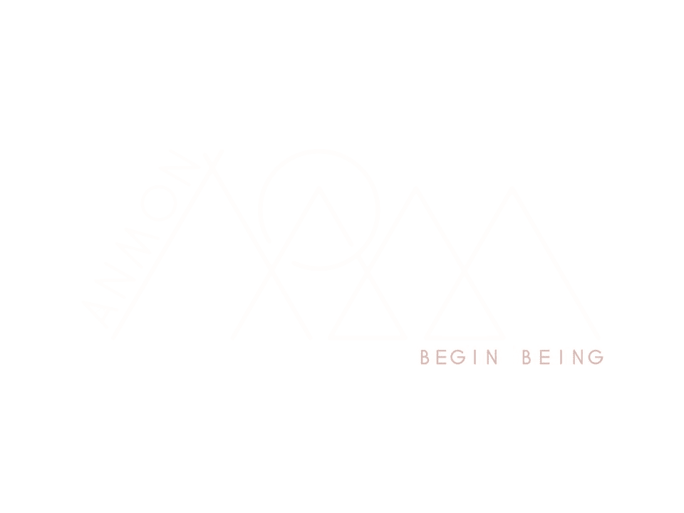 ANMON logo square