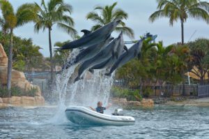 Sea World Gold Coast