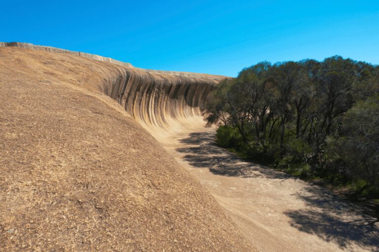 Best Perth Tours 2024 - WTS Travel & Tours - Tours Packages, Coaches ...