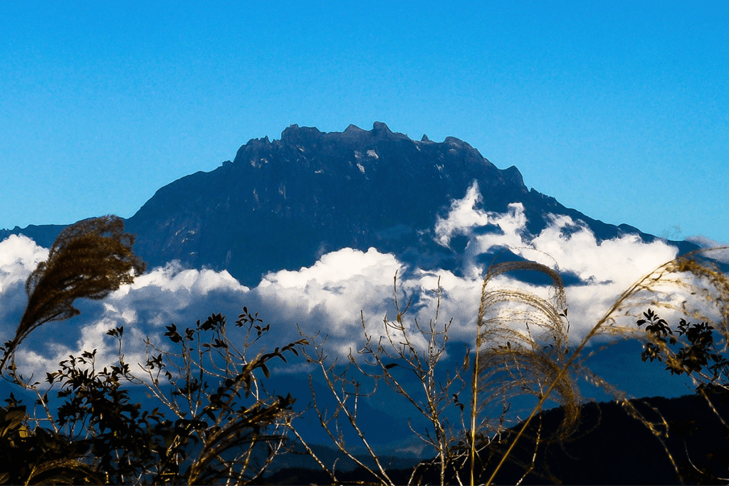 Mt Kinabalu
