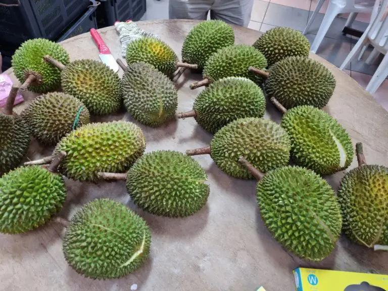 Premium Quality Durians