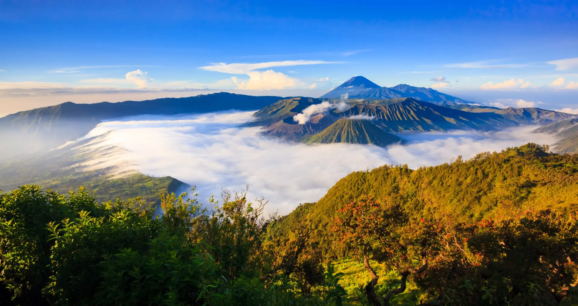 Surabaya Panorama of Bromo volcano_172567355 (Large)