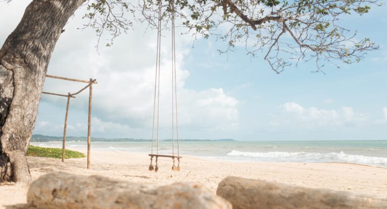 iconic-beach-swing