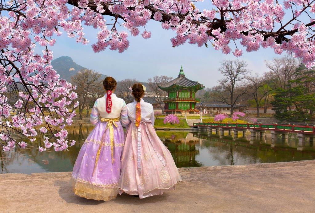 Cherry Blossom in spring with Korean national dress at Gyeongbokgung Palace SeoulSouth Korea