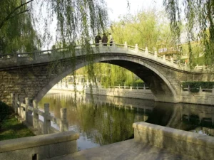 Black Tiger Spring Jinan