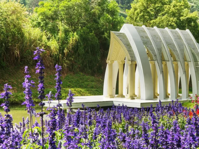 Miaoli Green Fantasy Forest