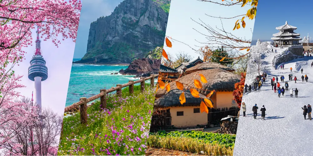 KTO EDM resized 1000