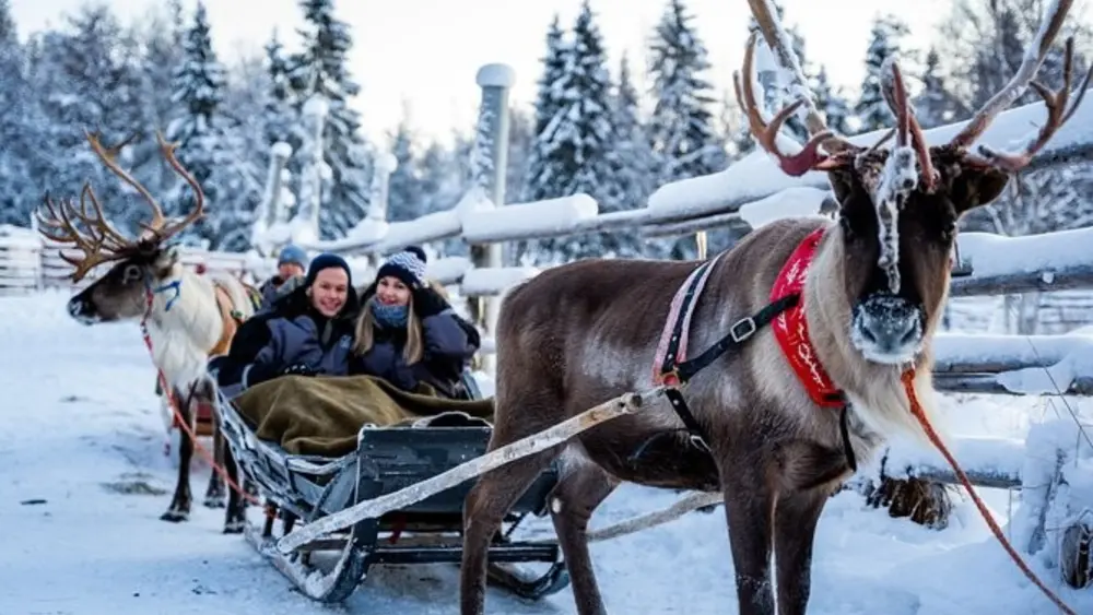 Northern Europe Tours 11 Reindeer Farm Visit