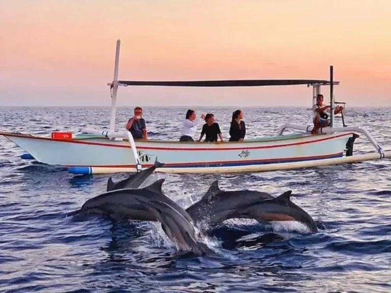 Dolphin Watching at Lovina