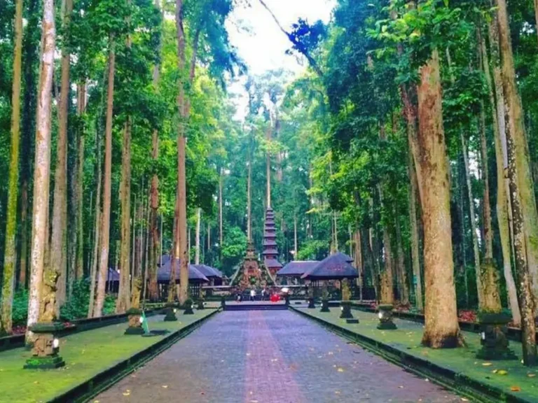 Sangeh Monkey Forest