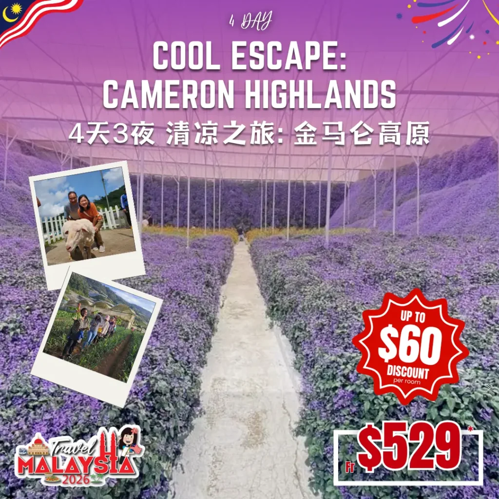 TMF Special Departure 6