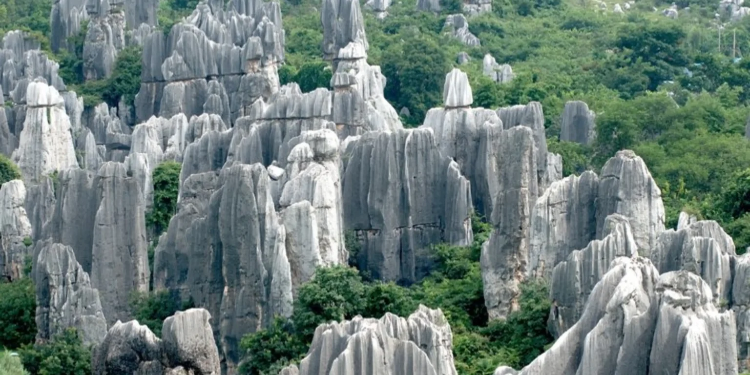 Laos Tours 13 Stone Forest