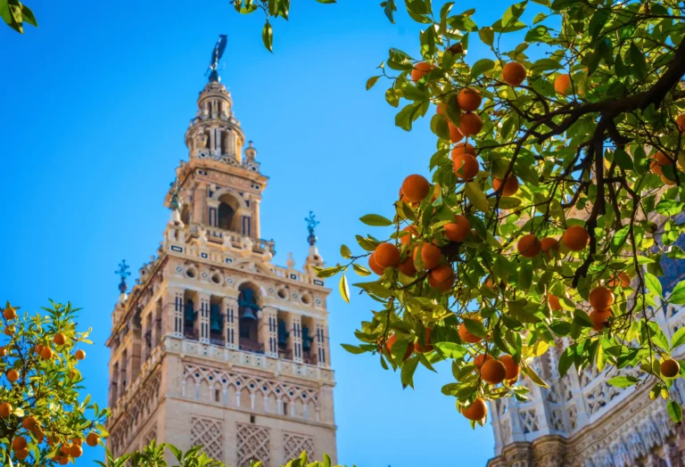 Southern Europe Tours 4 SPAIN Giralda Tower