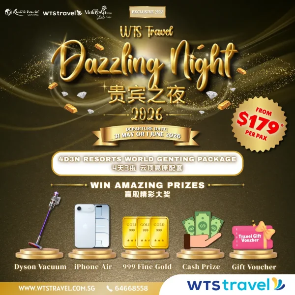 Dazzling Night SM 1
